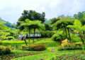 dusun bambu 2025