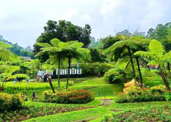 dusun bambu 2025