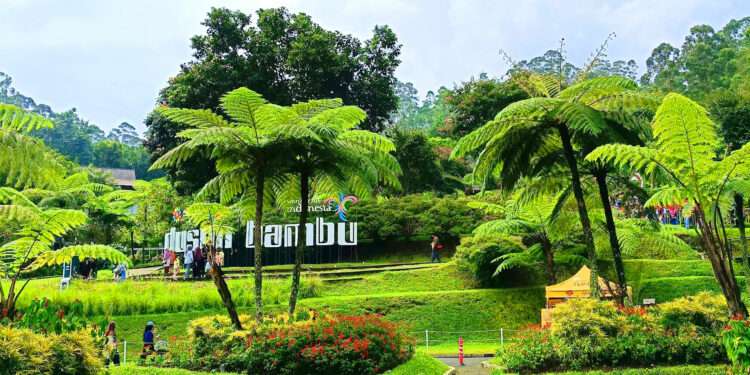 dusun bambu 2025