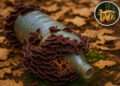 jamur pemakan plastik dari hutan amazon